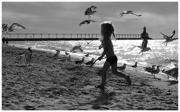 Michigan City Indiana Child running with seagulls
