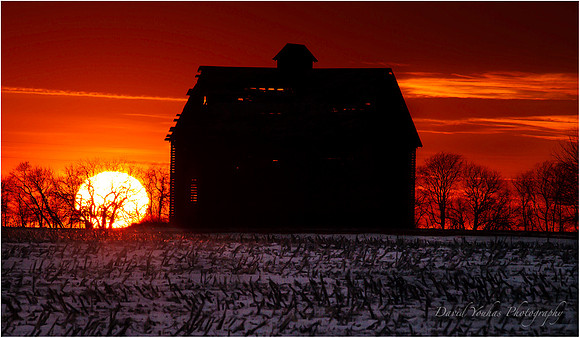 Goodnight Winter Sun