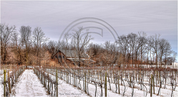 Winter Wine