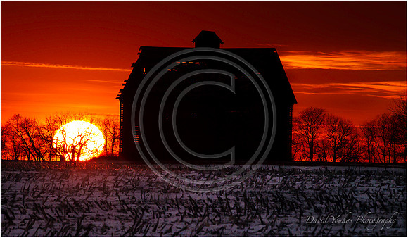 Goodnight Winter Sun